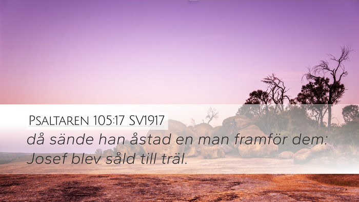 Psaltaren 105:17 SV1917 Bible Verse Image