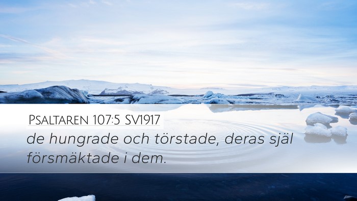 Psaltaren 107:5 SV1917 Desktop Wallpaper - de hungrade och törstade, deras själ - Desktop Bible Verse Wallpaper