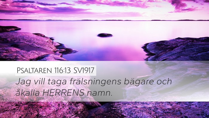 Psaltaren 116:13 SV1917 Bible Verse Image