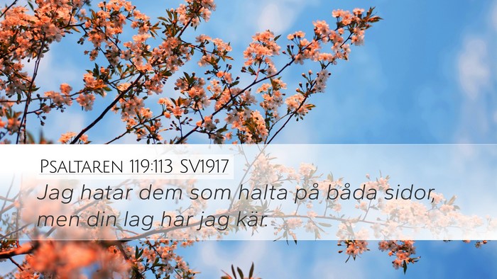 Psaltaren 119:113 SV1917 Desktop Wallpaper - Jag hatar dem som halta på båda sidor, men din - Desktop Bible Verse Wallpaper