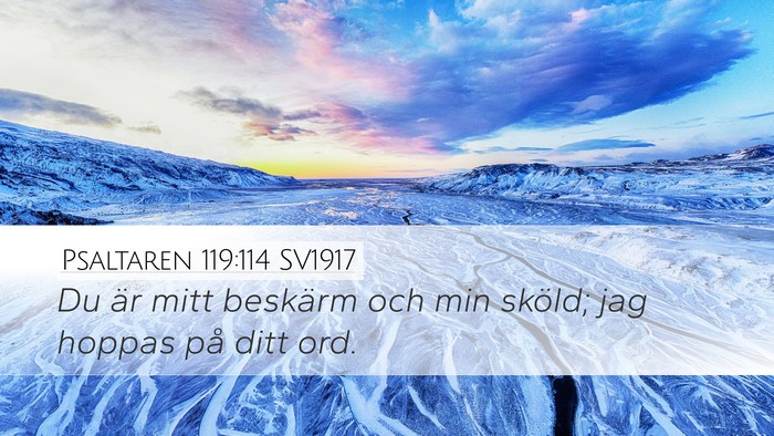 Psaltaren 119:114 SV1917 Bible Verse Image