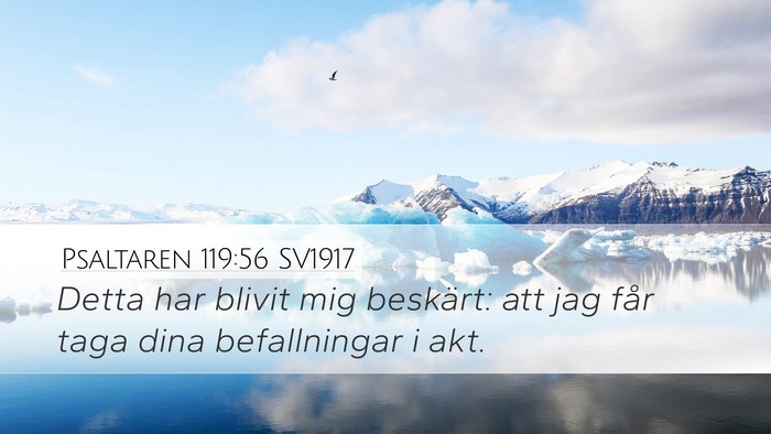 Psaltaren 119:56 SV1917 Desktop Wallpaper - Detta har blivit mig beskärt: att jag får taga - Desktop Bible Verse Wallpaper
