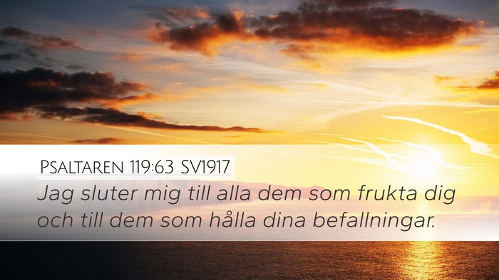 Psaltaren 119:63 SV1917 Bible Verse Image
