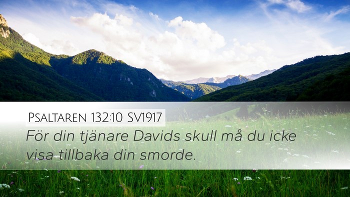 Psaltaren 132:10 SV1917 Desktop Wallpaper - För din tjänare Davids skull må du icke visa - Desktop Bible Verse Wallpaper