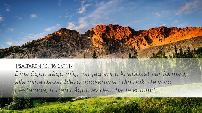 Psaltaren 139:16 SV1917 Bible Verse Image