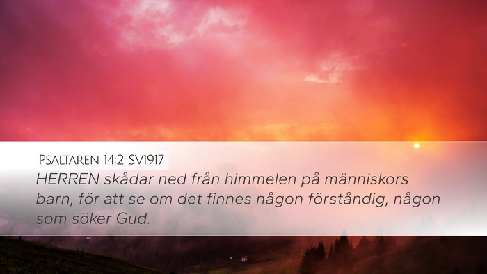 Psaltaren 14:2 SV1917 Desktop Wallpaper - HERREN skådar ned från himmelen på människors - Desktop Bible Verse Wallpaper