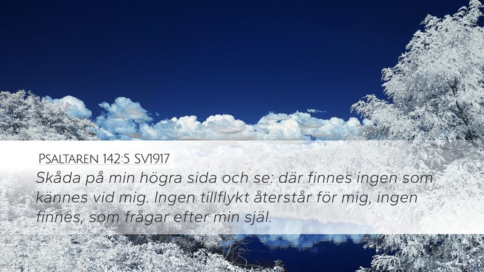 Psaltaren 142:5 SV1917 Bible Verse Image