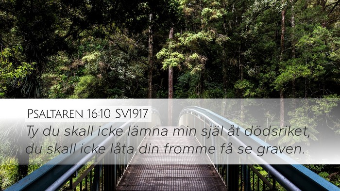 Psaltaren 16:10 SV1917 Bible Verse Image