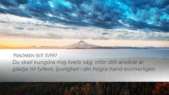 Psaltaren 16:11 SV1917 Desktop Wallpaper - Du skall kungöra mig livets väg; inför ditt - Desktop Bible Verse Wallpaper