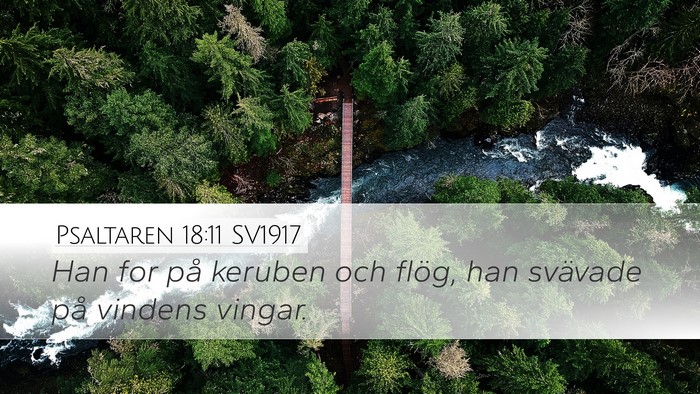Psaltaren 18:11 SV1917 Desktop Wallpaper - Han for på keruben och flög, han svävade på - Desktop Bible Verse Wallpaper