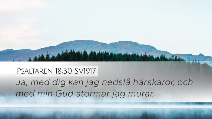 Psaltaren 18:30 SV1917 Desktop Wallpaper - Ja, med dig kan jag nedslå härskaror, och med - Desktop Bible Verse Wallpaper