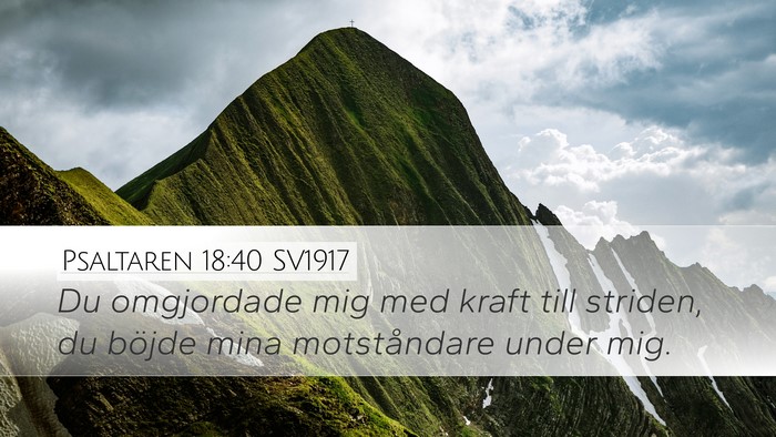 Psaltaren 18:40 SV1917 Bible Verse Image