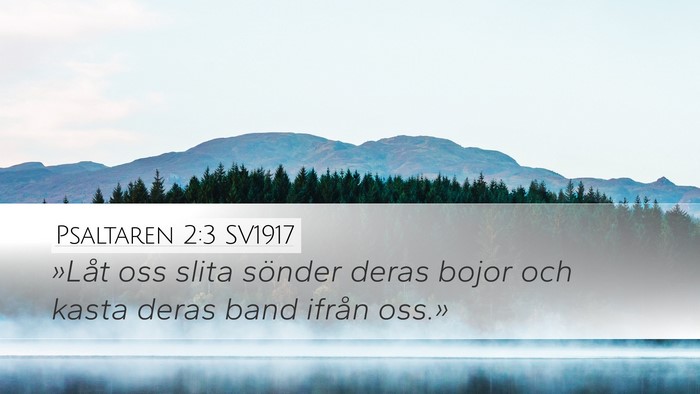 Psaltaren 2:3 SV1917 Desktop Wallpaper - »Låt oss slita sönder deras bojor och kasta - Desktop Bible Verse Wallpaper