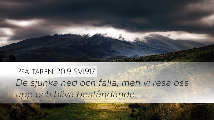 Psaltaren 20:9 SV1917 Bible Verse Image