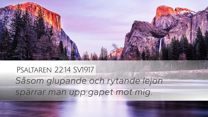 Psaltaren 22:14 SV1917 Bible Verse Image
