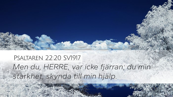 Psaltaren 22:20 SV1917 Bible Verse Image