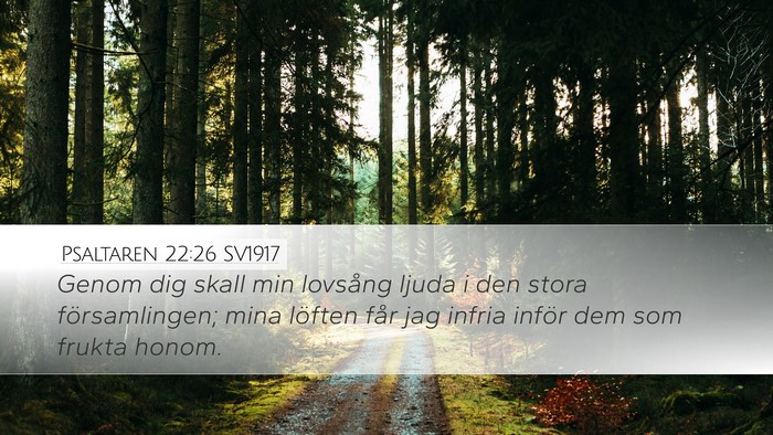 Psaltaren 22:26 SV1917 Bible Verse Image