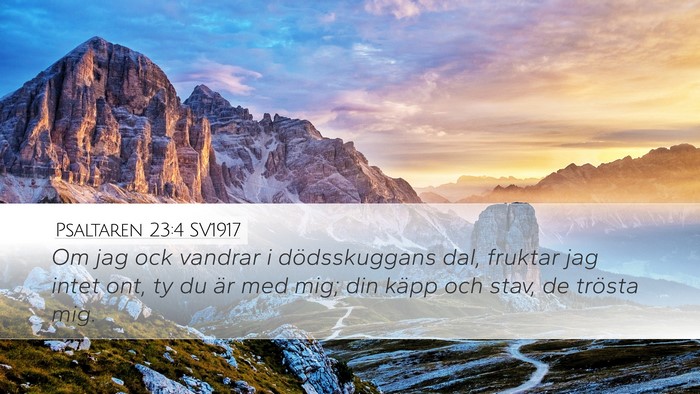 Psaltaren 23:4 SV1917 Bible Verse Image
