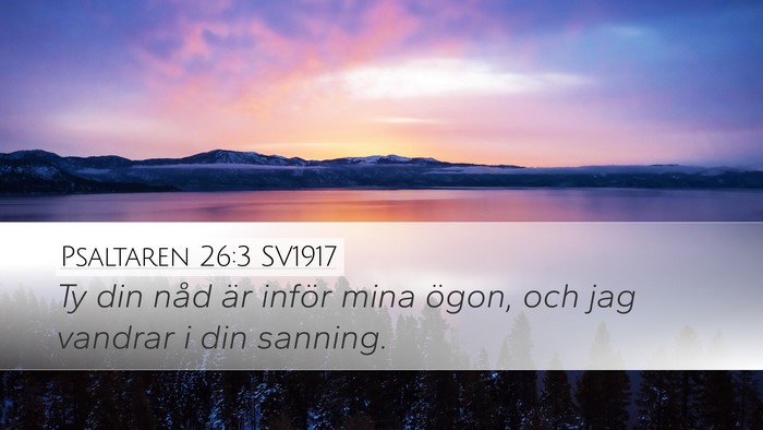 Psaltaren 26:3 SV1917 Bible Verse Image
