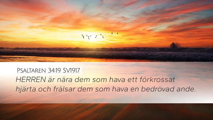 Psaltaren 34:19 SV1917 Bible Verse Image