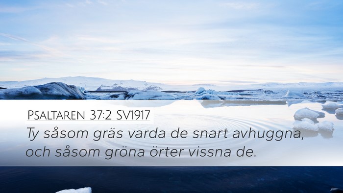 Psaltaren 37:2 SV1917 Desktop Wallpaper - Ty såsom gräs varda de snart avhuggna, och - Desktop Bible Verse Wallpaper