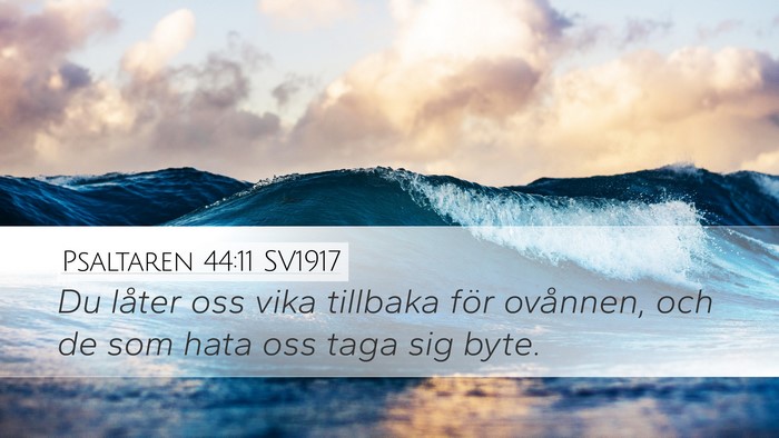 Psaltaren 44:11 SV1917 Bible Verse Image