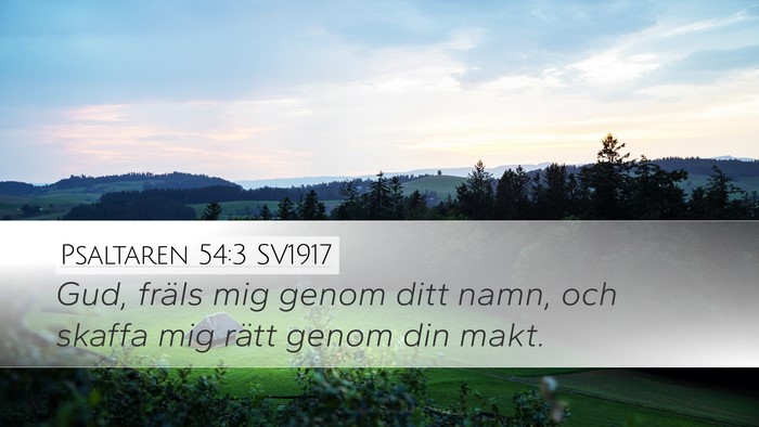 Psaltaren 54:3 SV1917 Desktop Wallpaper - Gud, fräls mig genom ditt namn, och skaffa mig - Desktop Bible Verse Wallpaper