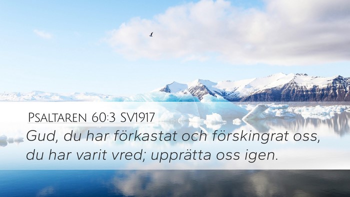 Psaltaren 60:3 SV1917 Bible Verse Image