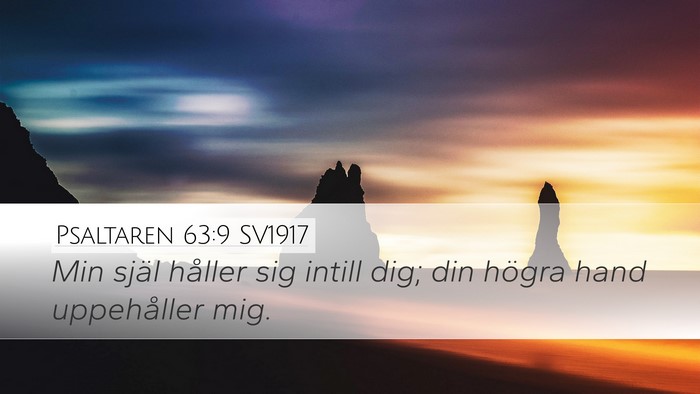 Psaltaren 63:9 SV1917 Bible Verse Image