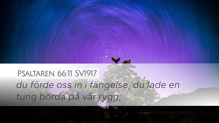 Psaltaren 66:11 SV1917 Bible Verse Image