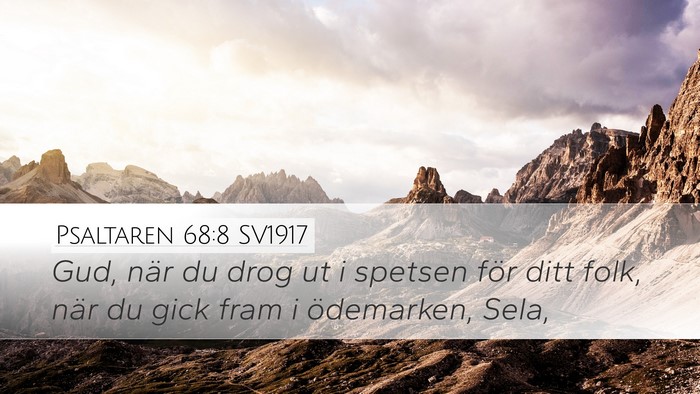 Psaltaren 68:8 SV1917 Desktop Wallpaper - Gud, när du drog ut i spetsen för ditt folk, - Desktop Bible Verse Wallpaper