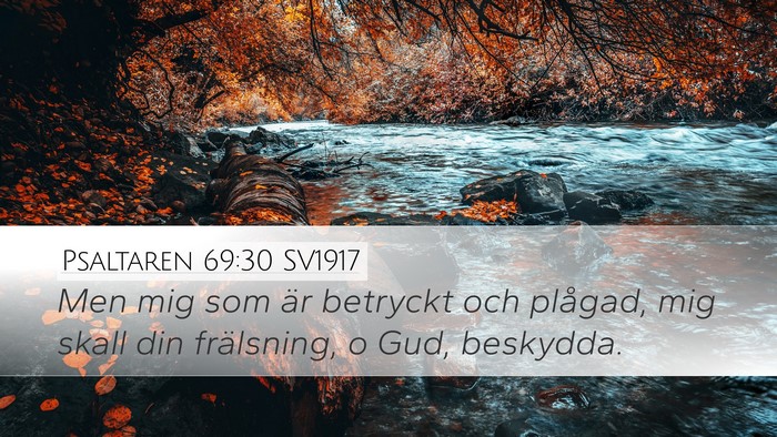 Psaltaren 69:30 SV1917 Bible Verse Image