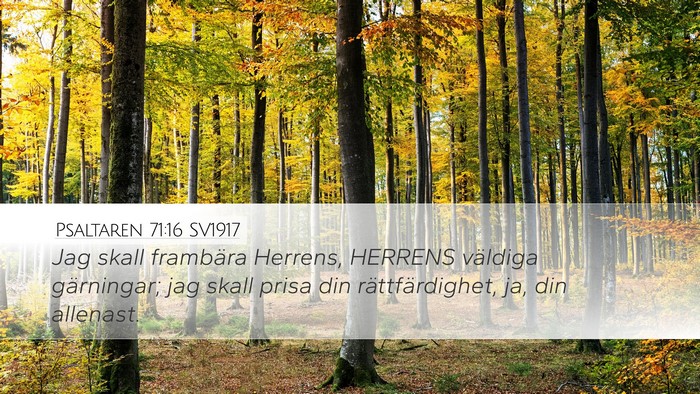 Psaltaren 71:16 SV1917 Bible Verse Image