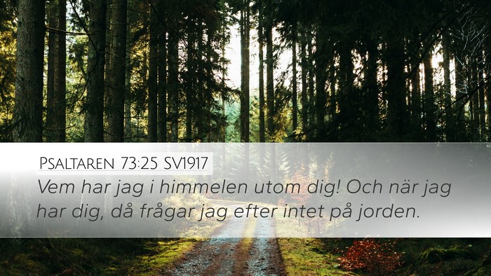 Psaltaren 73:25 SV1917 Bible Verse Image