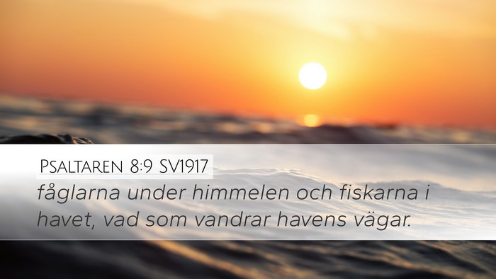 Psaltaren 8:9 SV1917 Bible Verse Image