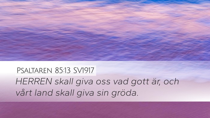 Psaltaren 85:13 SV1917 Bible Verse Image