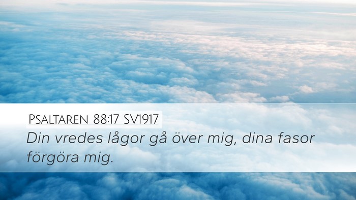 Psaltaren 88:17 SV1917 Desktop Wallpaper - Din vredes lågor gå över mig, dina fasor - Desktop Bible Verse Wallpaper