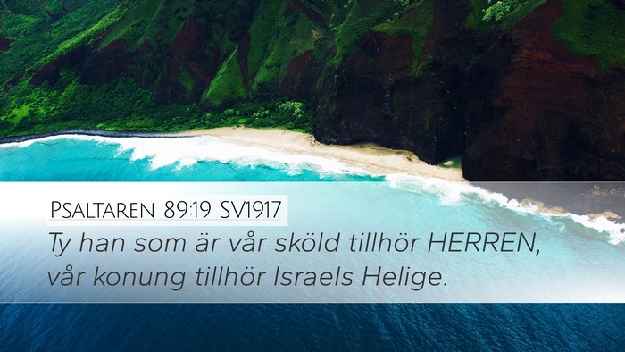 Psaltaren 89:19 SV1917 Bible Verse Image