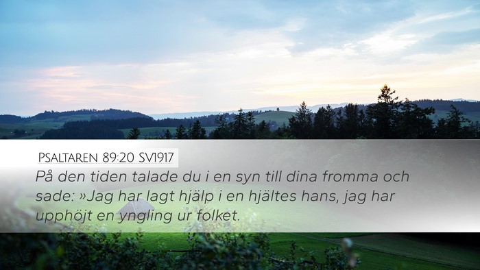 Psaltaren 89:20 SV1917 Bible Verse Image
