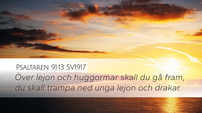 Psaltaren 91:13 SV1917 Bible Verse Image