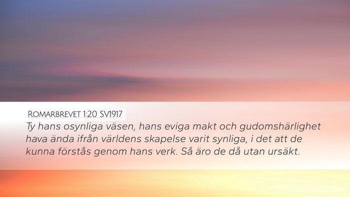 Romarbrevet 1:20 SV1917 Bible Verse Image