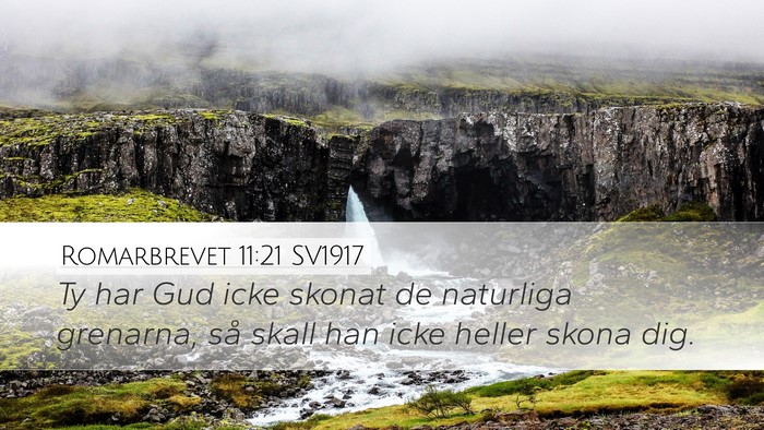 Romarbrevet 11:21 SV1917 Desktop Wallpaper - Ty har Gud icke skonat de naturliga grenarna, så - Desktop Bible Verse Wallpaper