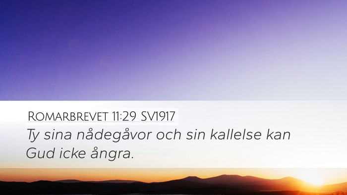 Romarbrevet 11:29 SV1917 Bible Verse Image