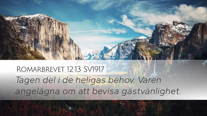 Romarbrevet 12:13 SV1917 Bible Verse Image