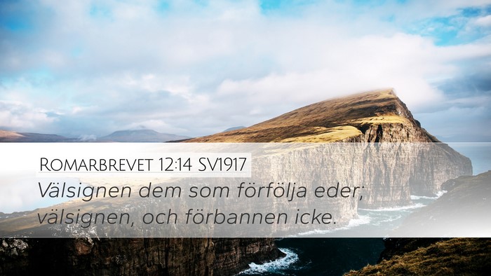 Romarbrevet 12:14 SV1917 Bible Verse Image
