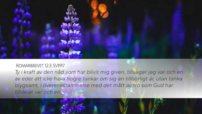 Romarbrevet 12:3 SV1917 Bible Verse Image