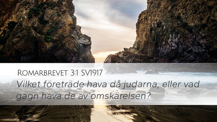 Romarbrevet 3:1 SV1917 Bible Verse Image