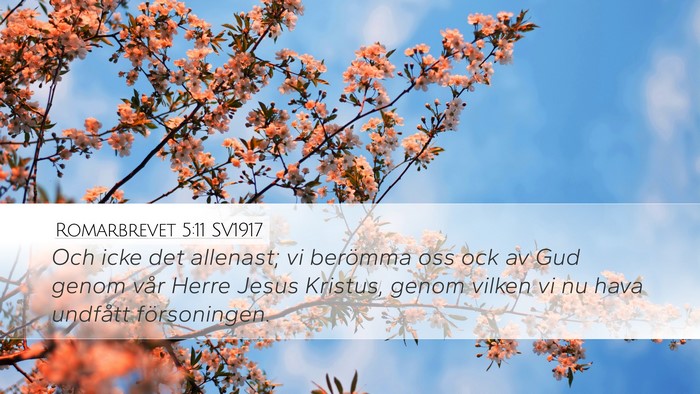 Romarbrevet 5:11 SV1917 Bible Verse Image