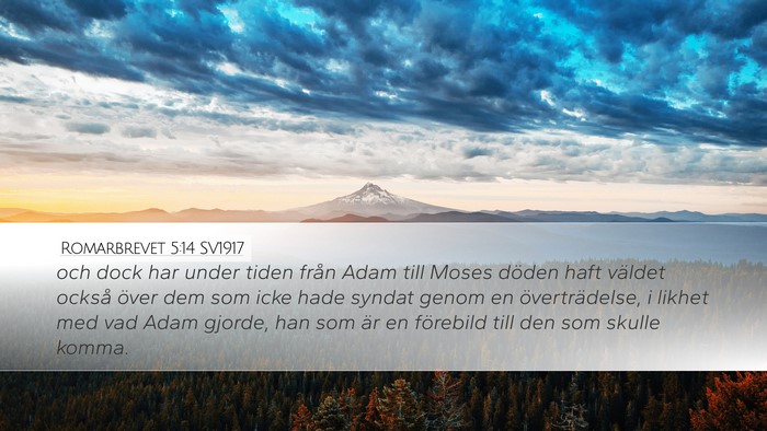 Romarbrevet 5:14 SV1917 Bible Verse Image