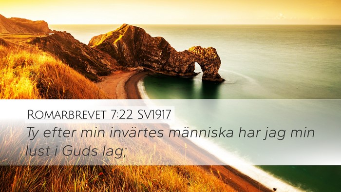 Romarbrevet 7:22 SV1917 Bible Verse Image